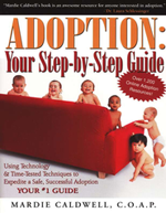 Adoption Step by Step Guide to Adoption